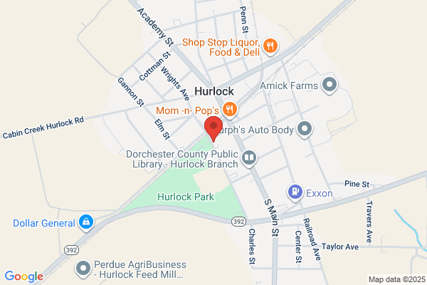 Napa Auto Parts