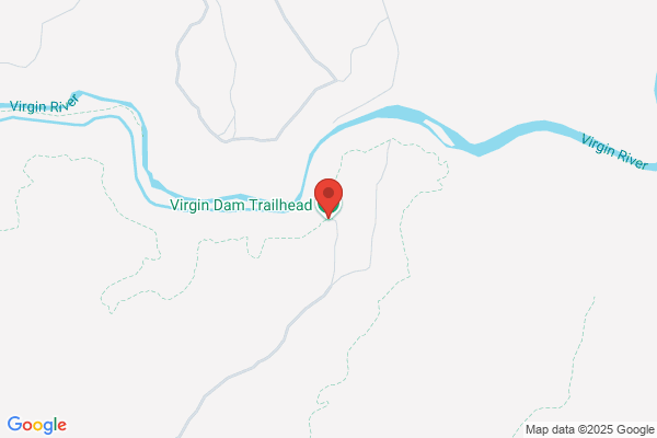 Virgin Workshop