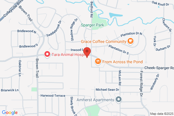 Kid’s Kampus Preschool Colleyville