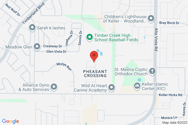 Mercer Tree Service