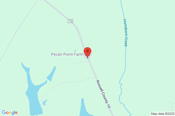 Southern Pines Farm
