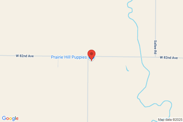 Prairie Hill Puppies