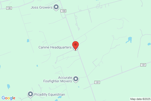 Canine Headquarters