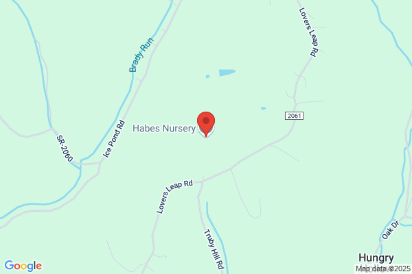 Habe Nursery