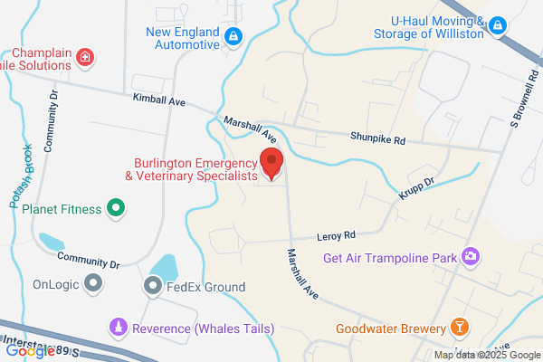 Animal Medical Hospital of Northern Vermont