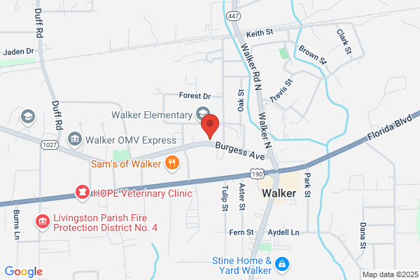 Walker Mini-Warehouse Storage