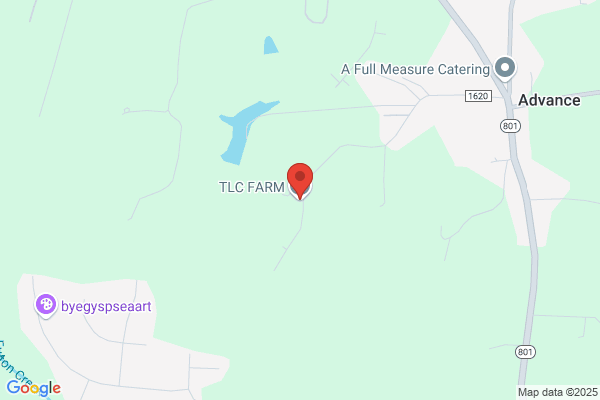 Tlc Farm