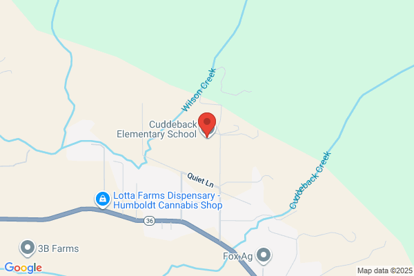 Cuddeback Grammar School