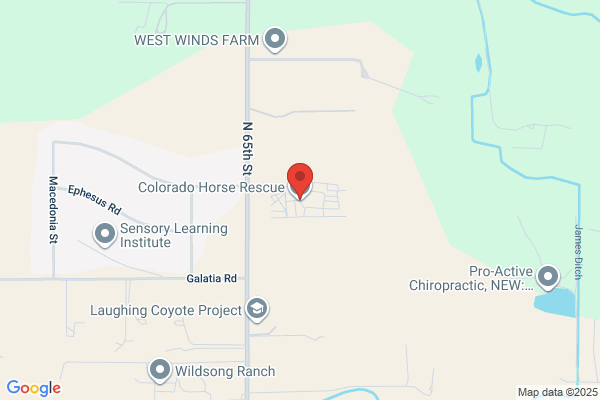 Colorado Horse Rescue