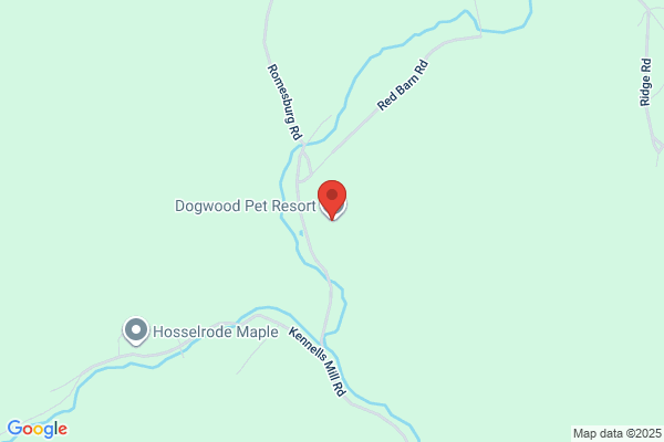 Stone Ridge Pet Retreat