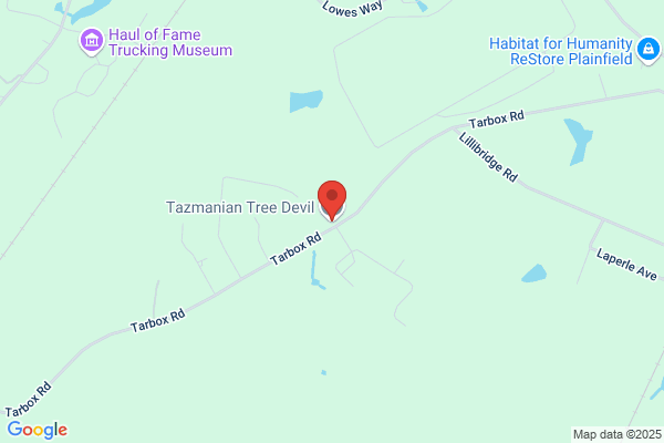 Tazmanian Tree Service