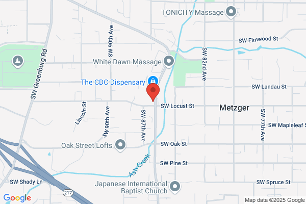 Metzger William C CPA