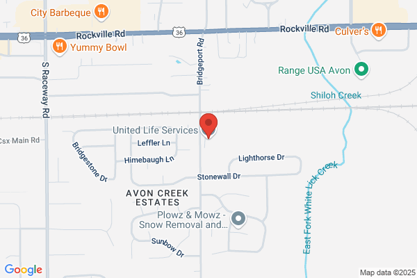 United Life Services Inc.