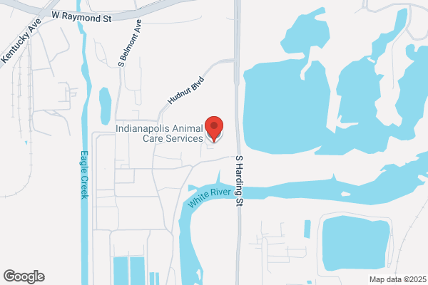 Independent Adoption Center