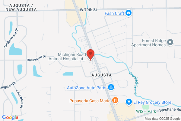 Animal Care Clinic