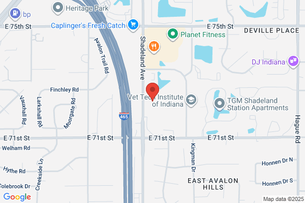 Great Lakes Family Dental Group - Indianapolis