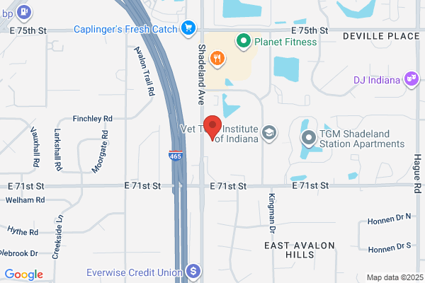 Walker-Dixon Orthodontics
