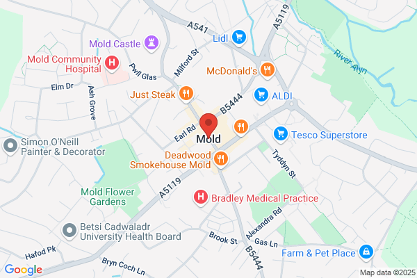 Mold-911