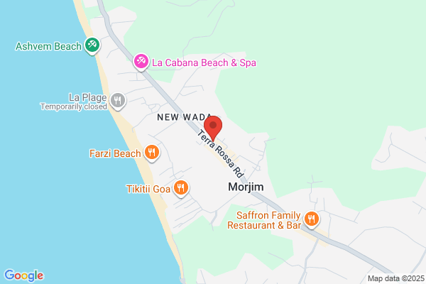 Curves