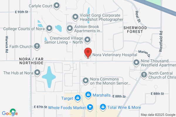 Nora Veterinary Clinic