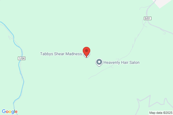 Tabbys Shear Madness