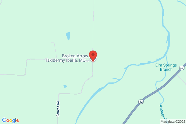 Broken Arrow Taxidermy