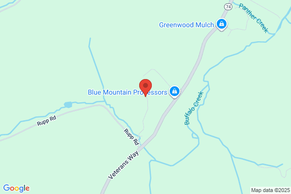 Blue Mountain Processors Llc