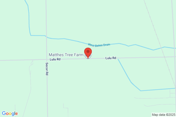 Matthes Evergreen Farm