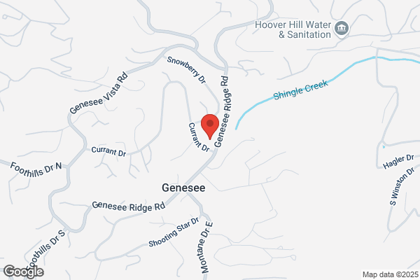Fire Department, Genesee