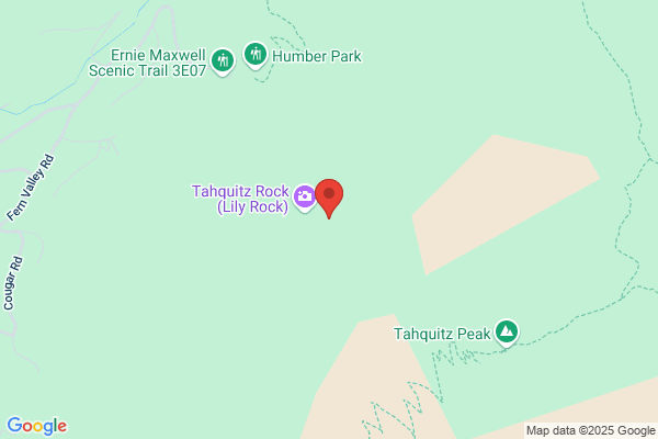 Lily Rock Gallery