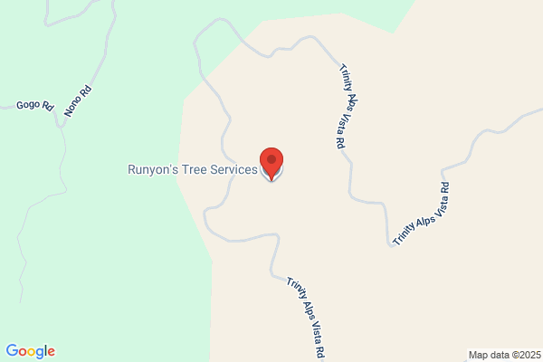 Runyon's Tree Service