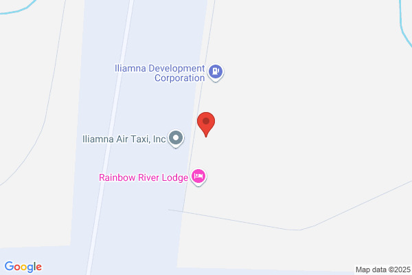 Iliamna Airport Market
