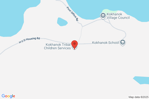 Newhalen Tribal Childrens Services