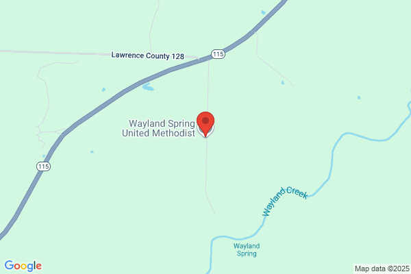 Wayland Spring United Meth