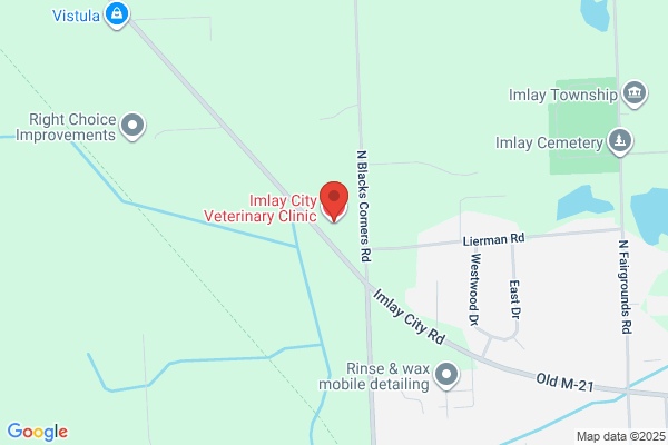 Imlay City Veterinary Clinic