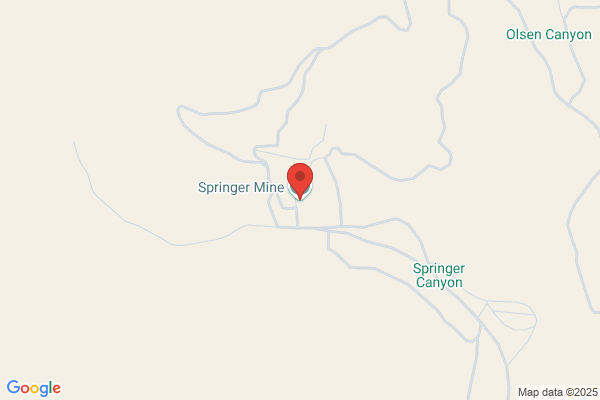 Springer Mining Co