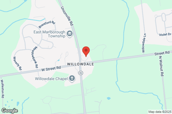 Willowdale Steeple Chase Inc