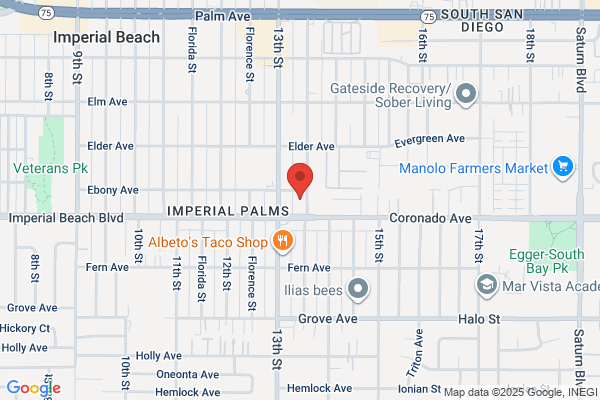 Georgia Palms