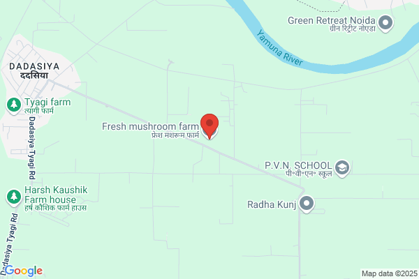 Fresh Mushroom Farm
