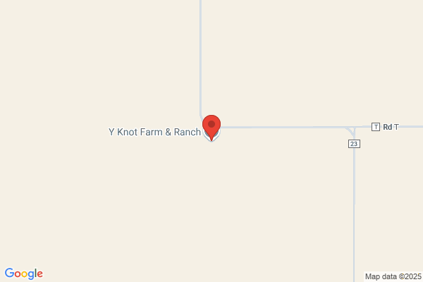 Y-Not Ranch