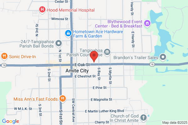 Anzalone F Fanancy Dr
