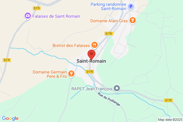 St Romain & Son