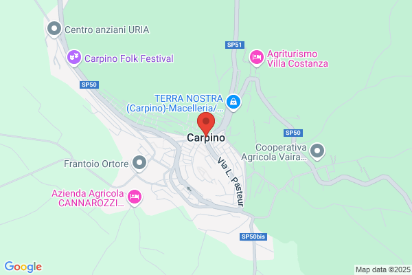 Stephanie Carpino, MD