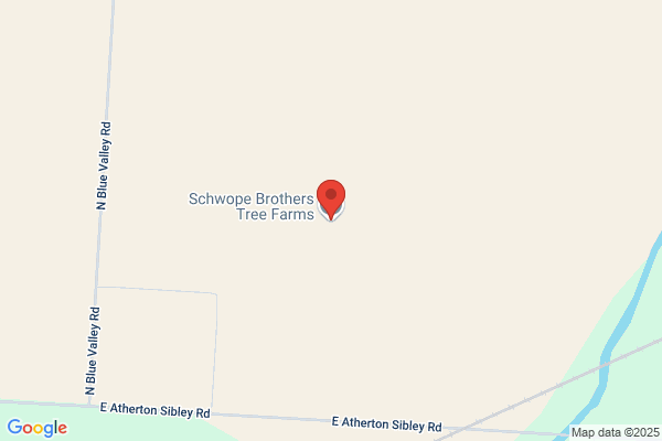 Wholesale Tree Sales