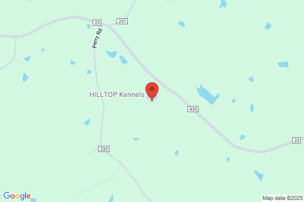 Hilltop Kennel