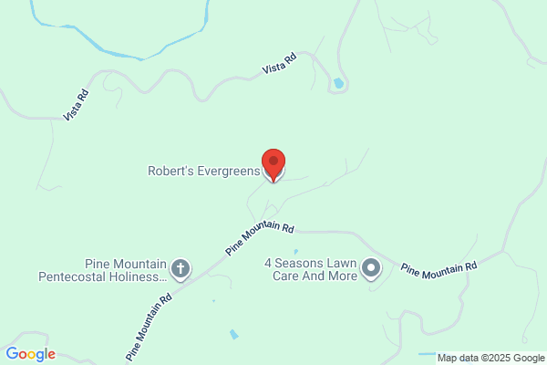 Robert's Evergreens