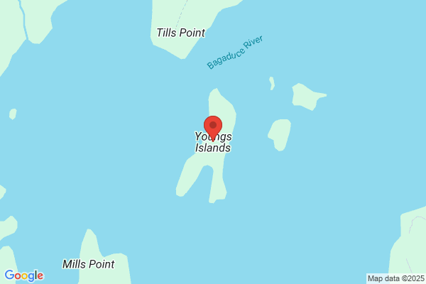 Young's Home Inc