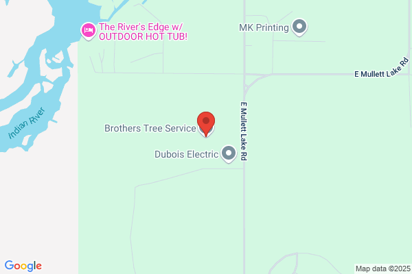 Brothers Tree Service