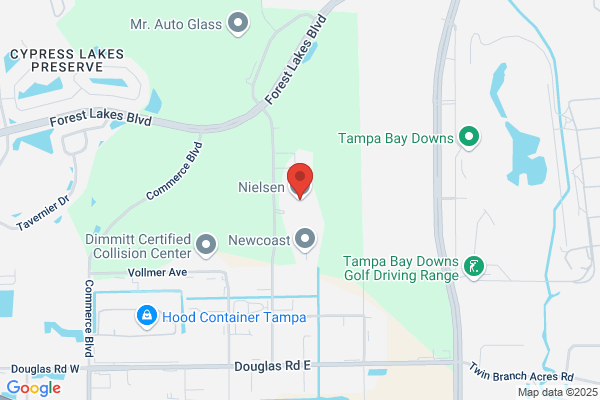 Neilson Company the
