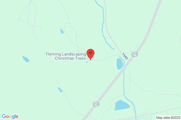 Fleming's Christmas Tree Farm